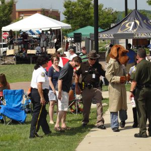 National Night Out (2015) Image