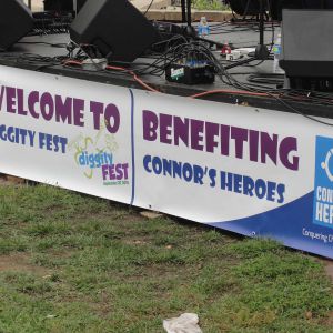 Westchester Concert Series–Ron Moody & the Centaurs–5/3/19 Image